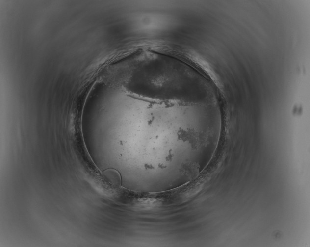 X0000091010161200708021556