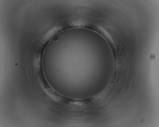 X0000091010163200708021556