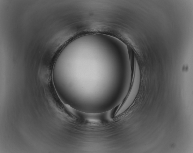 X0000091010164200708021556