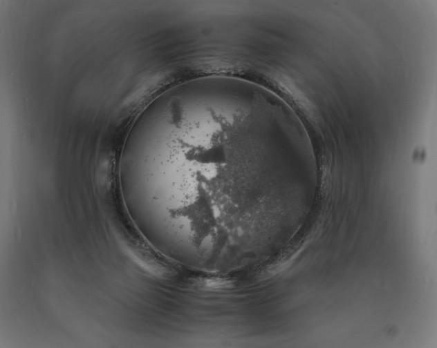 X0000091010165200708021556