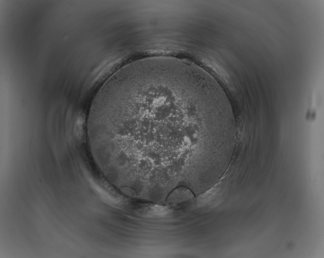 X0000091010166200708021556
