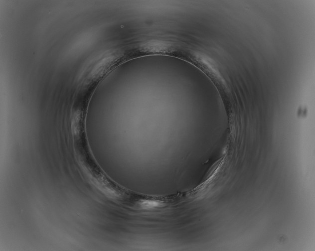 X0000091010167200708021556