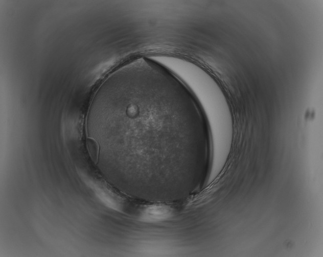 X0000091010168200708021556