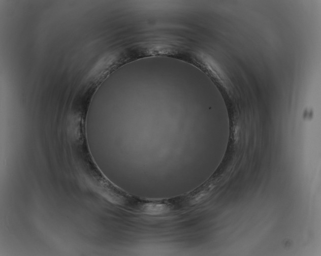X0000091010169200708021556
