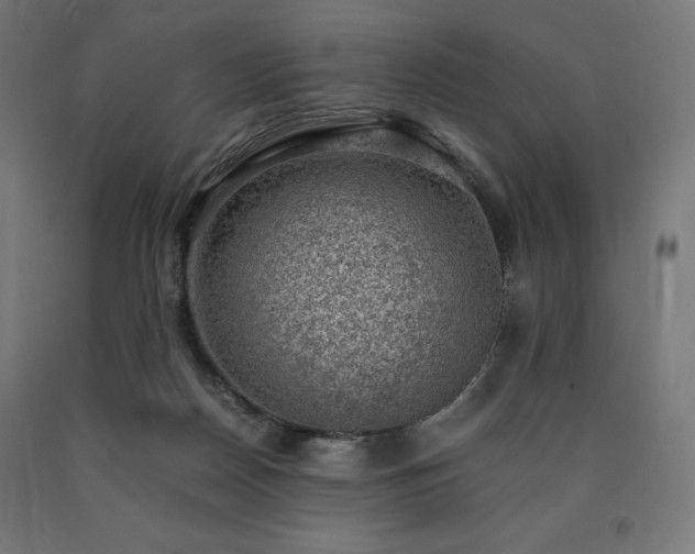 X0000091010170200708021556