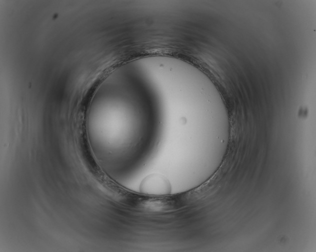 X0000091010171200708021556