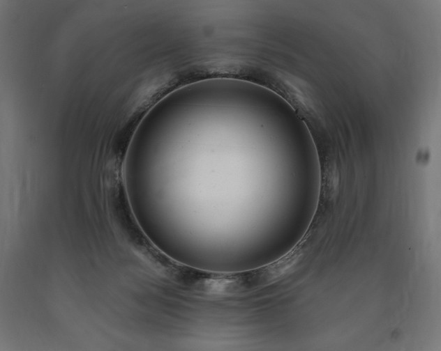 X0000091010172200708021556