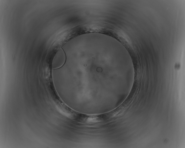 X0000091010173200708021556
