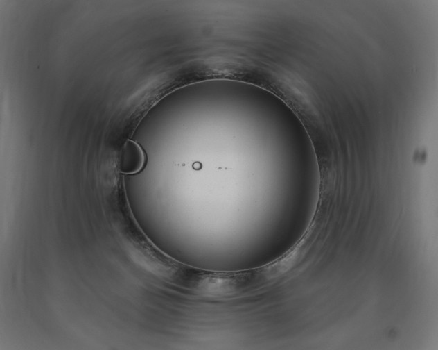X0000091010174200708021556