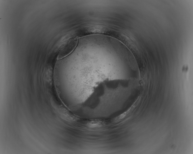 X0000091010175200708021556