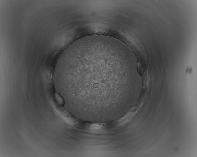 X0000091010176200708021556