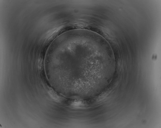 X0000091010177200708021557
