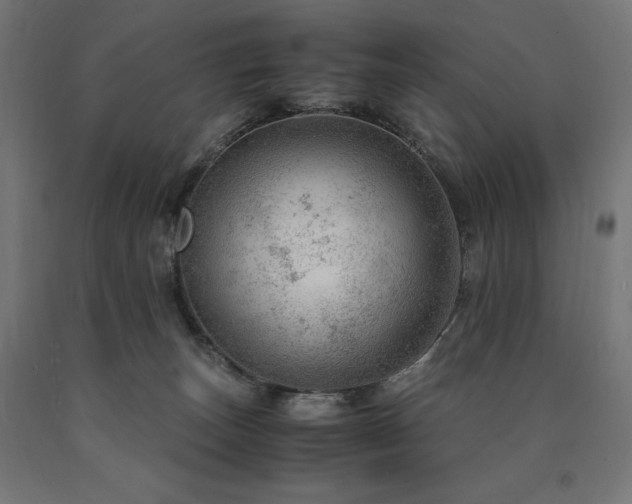 X0000091010179200708021557
