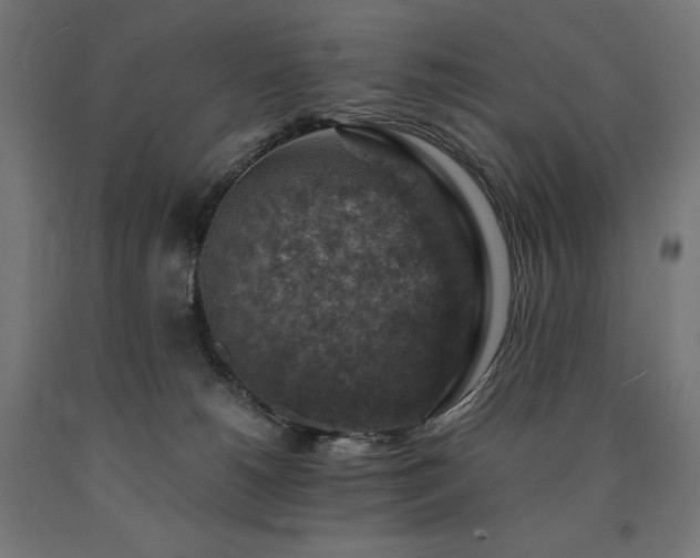 X0000091010180200708021557