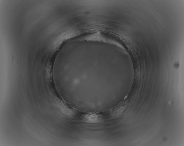 X0000091010181200708021557