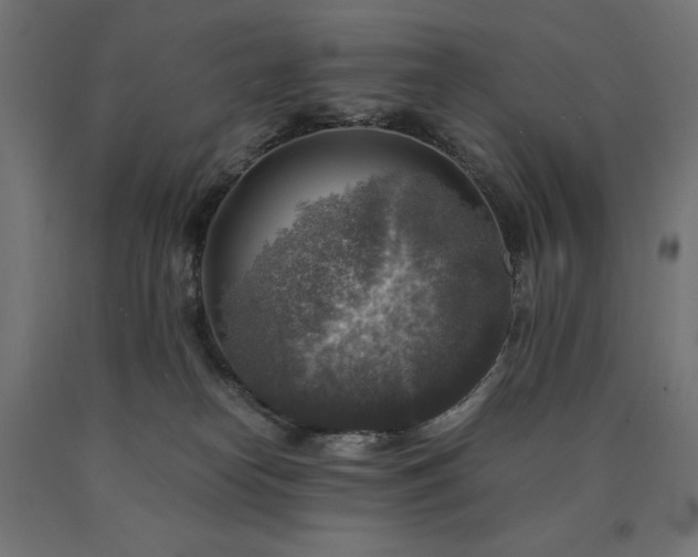 X0000091010182200708021557