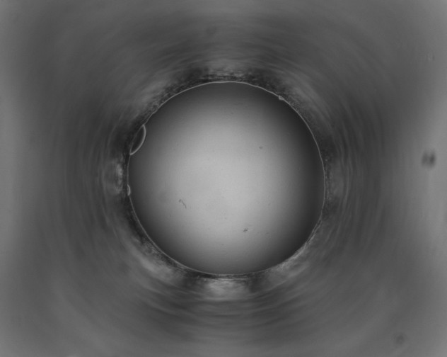 X0000091010183200708021557
