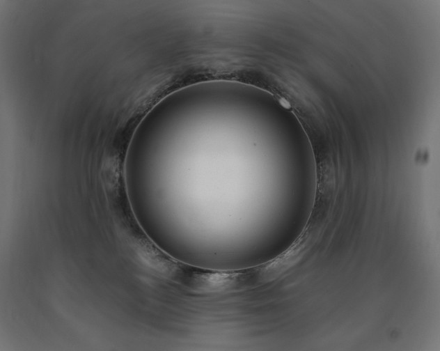 X0000091010184200708021557
