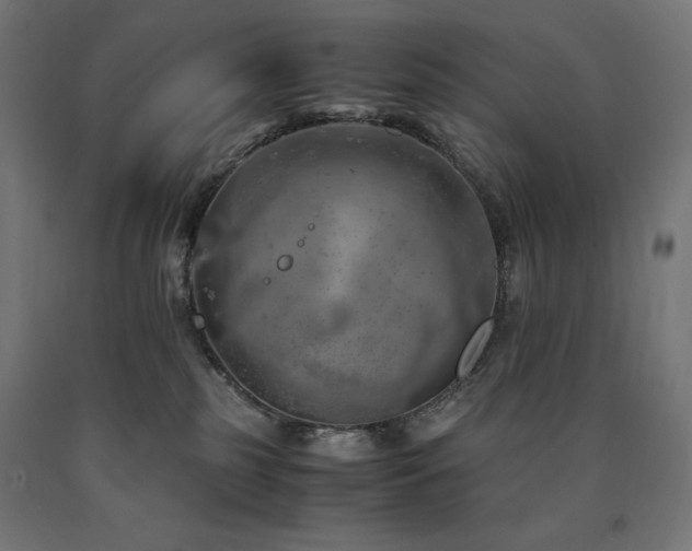 X0000091010185200708021557
