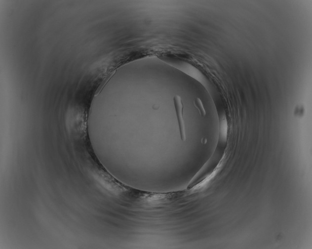 X0000091010186200708021557