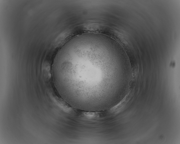 X0000091010187200708021557