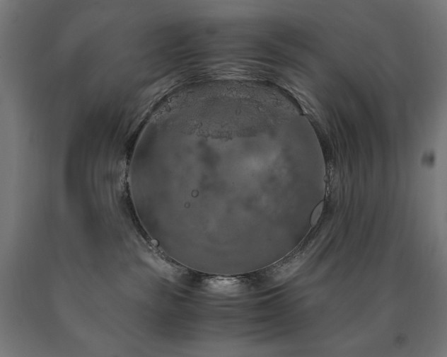 X0000091010189200708021557
