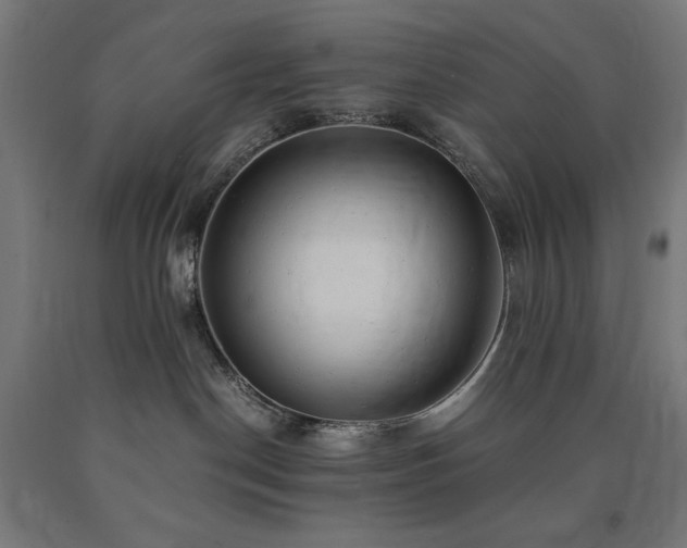 X0000091010190200708021557