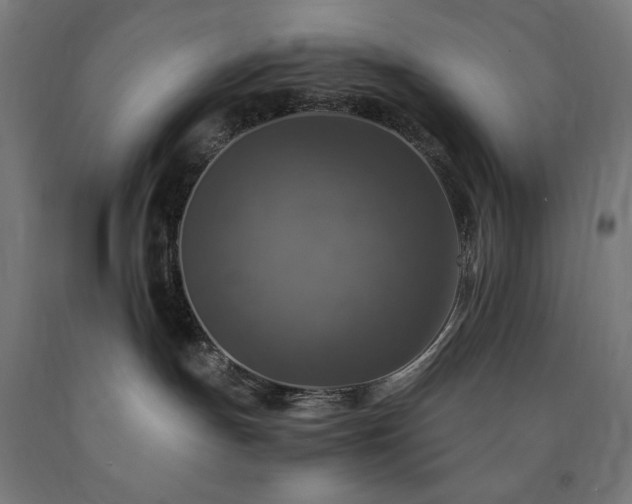 X0000091010191200708021557