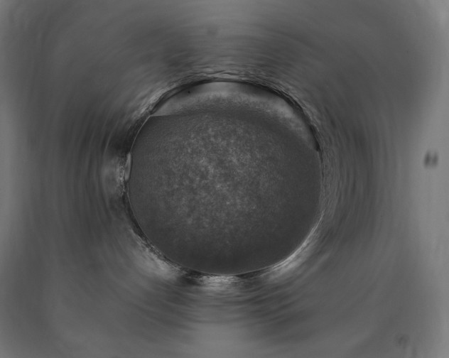 X0000091010192200708021557