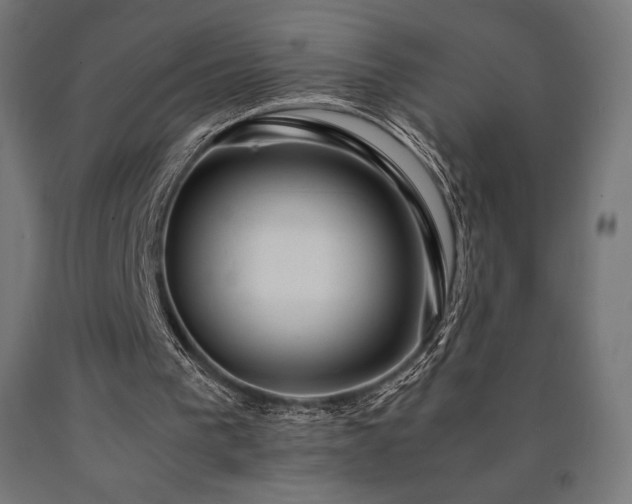 X0000091010193200708021556
