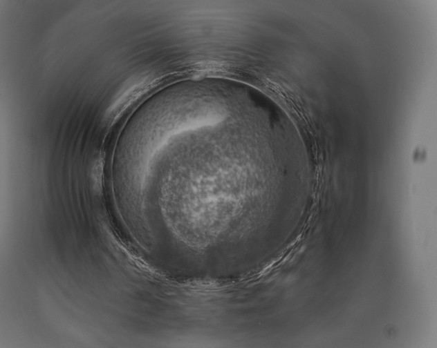 X0000091010194200708021556