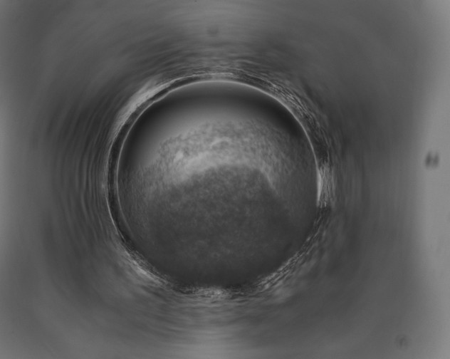 X0000091010195200708021556