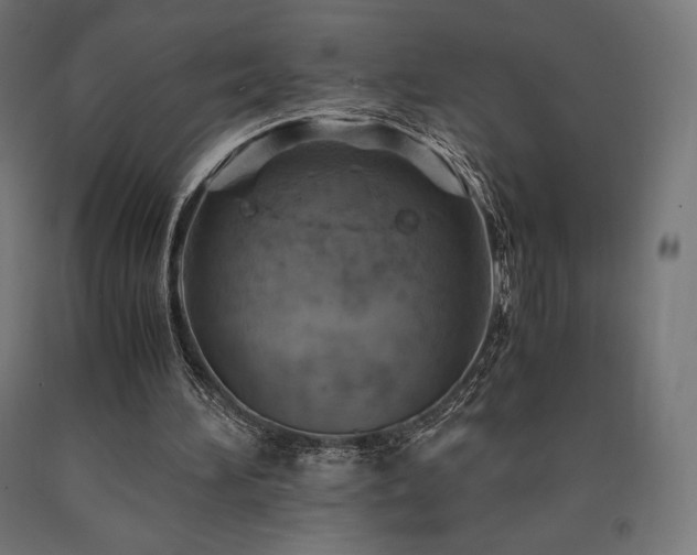 X0000091010196200708021556