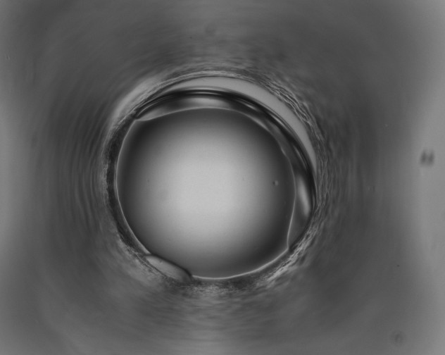 X0000091010197200708021556