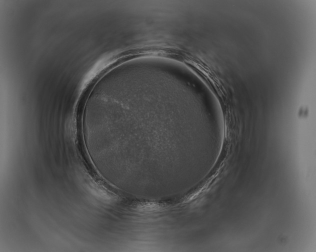 X0000091010198200708021556
