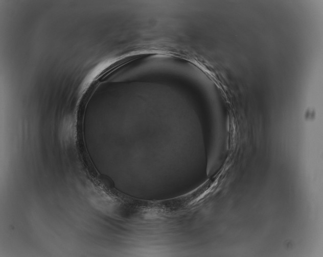 X0000091010200200708021556