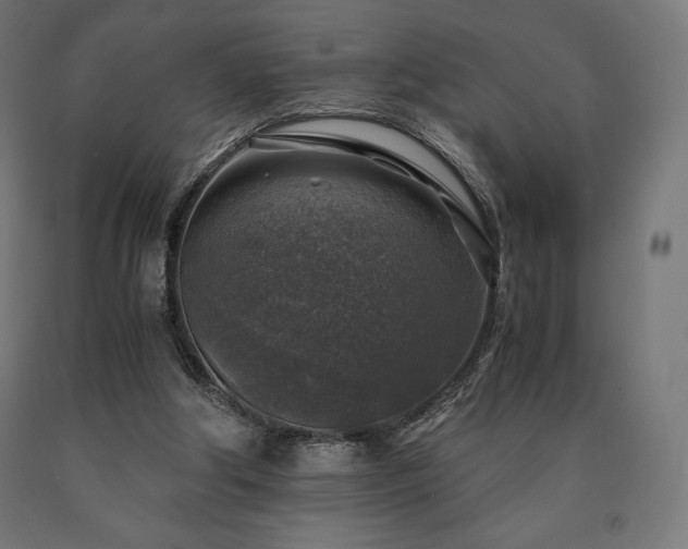 X0000091010202200708021556