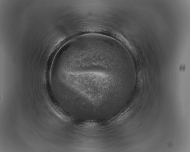 X0000091010203200708021556