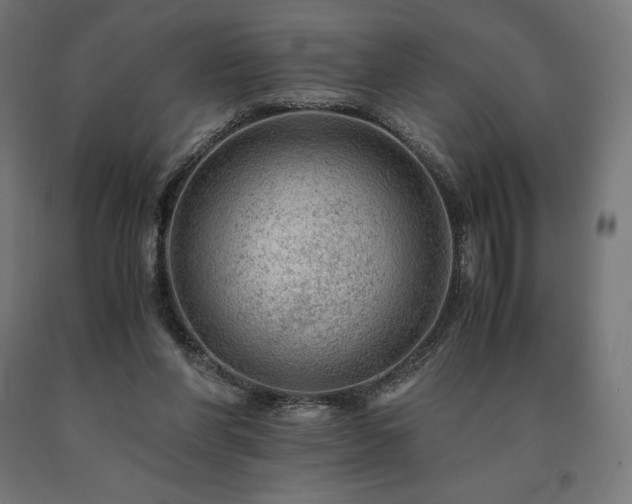 X0000091010206200708021556