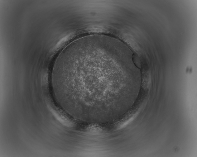 X0000091010207200708021556