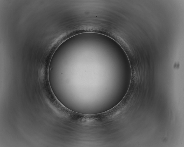 X0000091010208200708021556