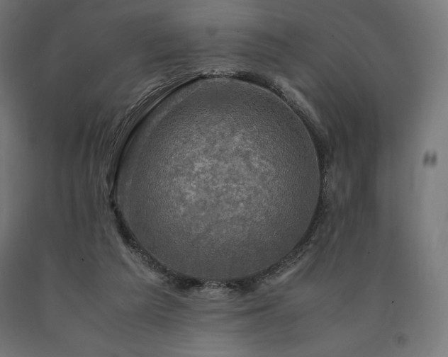 X0000091010209200708021556