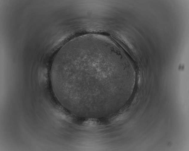 X0000091010211200708021556