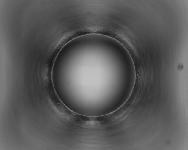 X0000091010212200708021556