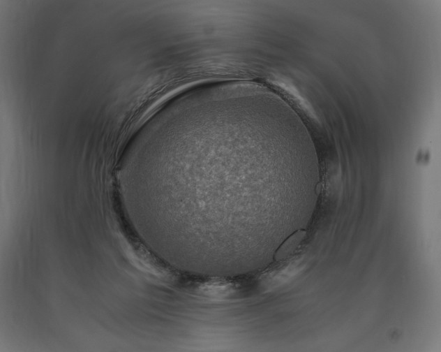X0000091010213200708021556