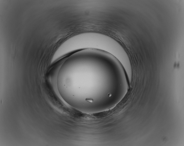X0000091010215200708021556