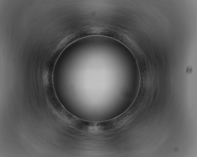 X0000091010216200708021556