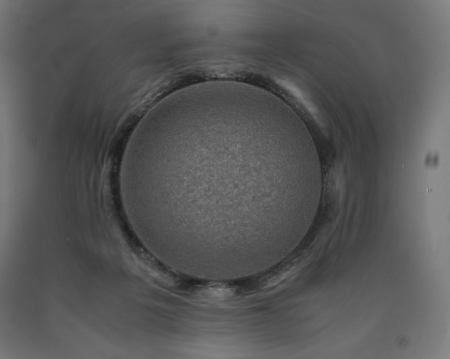 X0000091010217200708021556