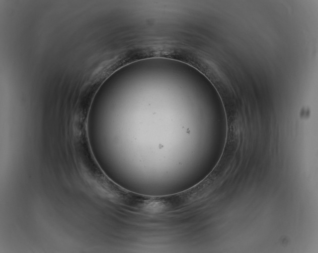 X0000091010218200708021556