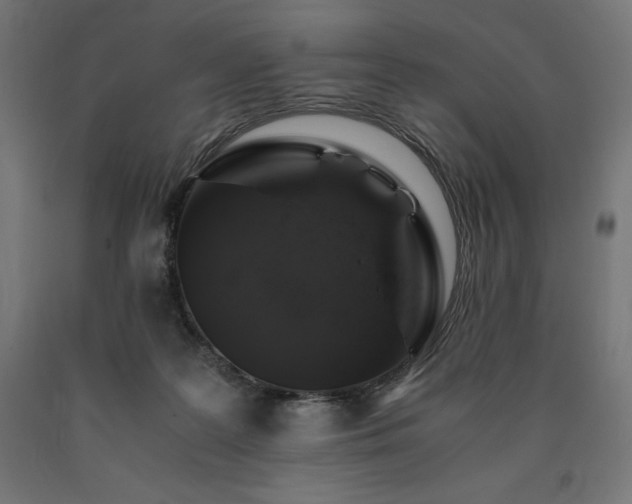 X0000091010219200708021556
